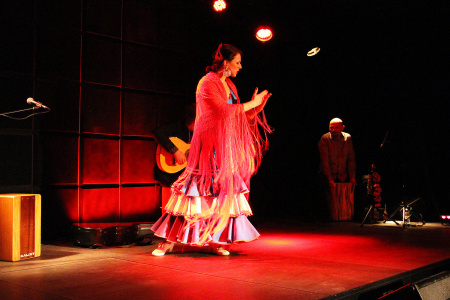 Spektakl "Flamenco Namiętnie"
