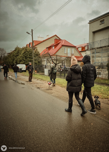 Grupa ludzi wyprowadza swoje psy. Za grupa widać domy mieszkalne.