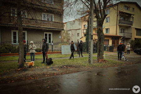 Grupa uczestników wyprowadza swoje psy. Jest deszczowo i zimno. Osoby maja nałożone kaptury i kurtki.
