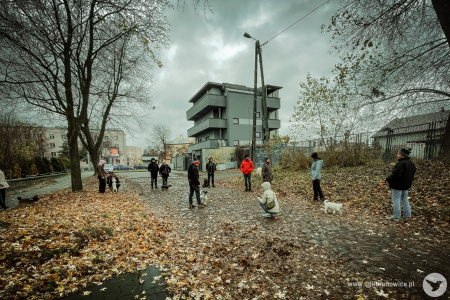 Spacer ze swoimi psami. Widać 6 piesków. Uczestnicy ustawili się do zdjęcia. Pochmurno i deszczowo.