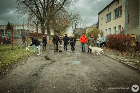 Grupa osób wyprowadza swoje psy.