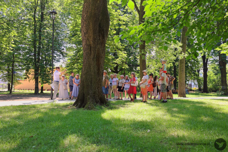 Park Bronowicki. Grupa ludzi słucha przewodnika. Na pierwszym planie wysokie drzewo. Jest bardzo słonecznie.