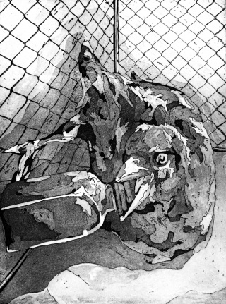 Wystawa miniatur graficznych – linoryt