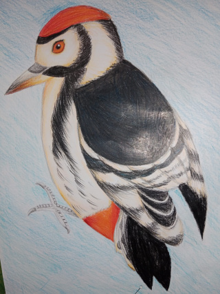 Wystawa prac uczniów ze Szkoły Podstawowej nr 52