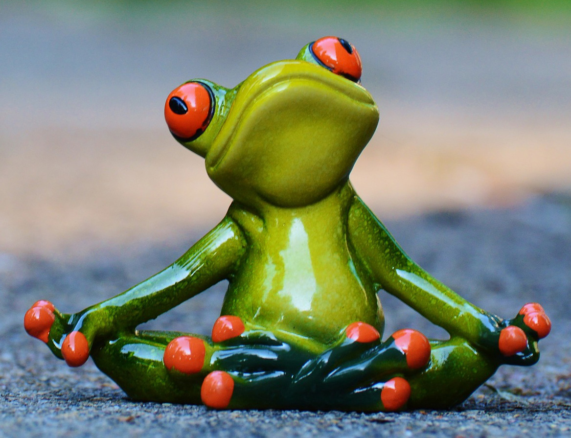 Medytująca żaba - obrazek